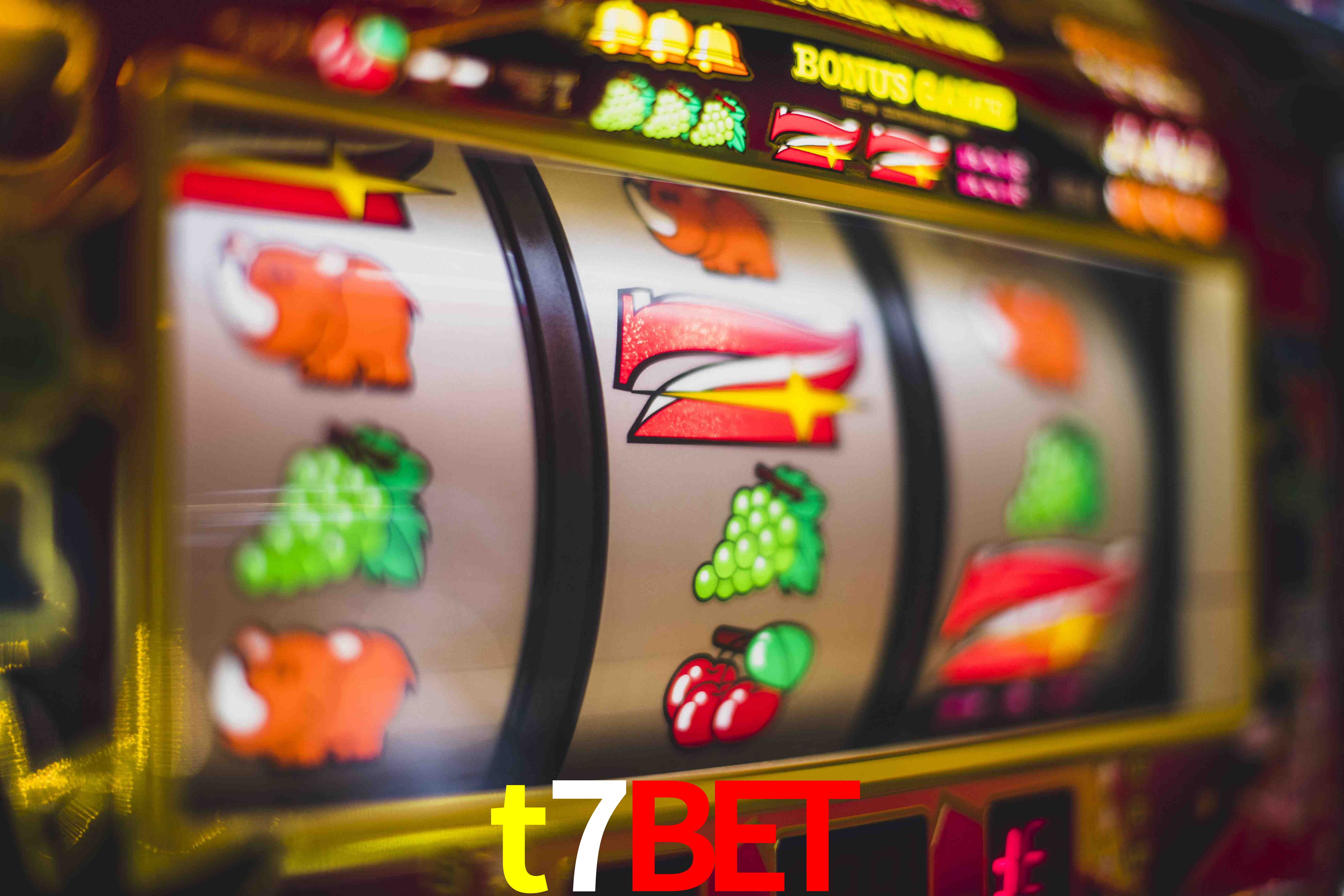 Experiência VIP t7bet
